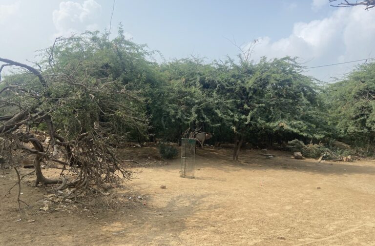 Jatipura , Govardhan